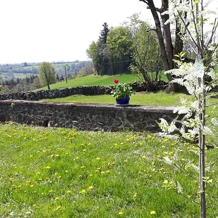 Du Bosquet Pays De Salers Cantal *